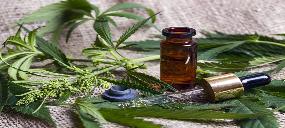 Weed oil with pipette on cannabis plant