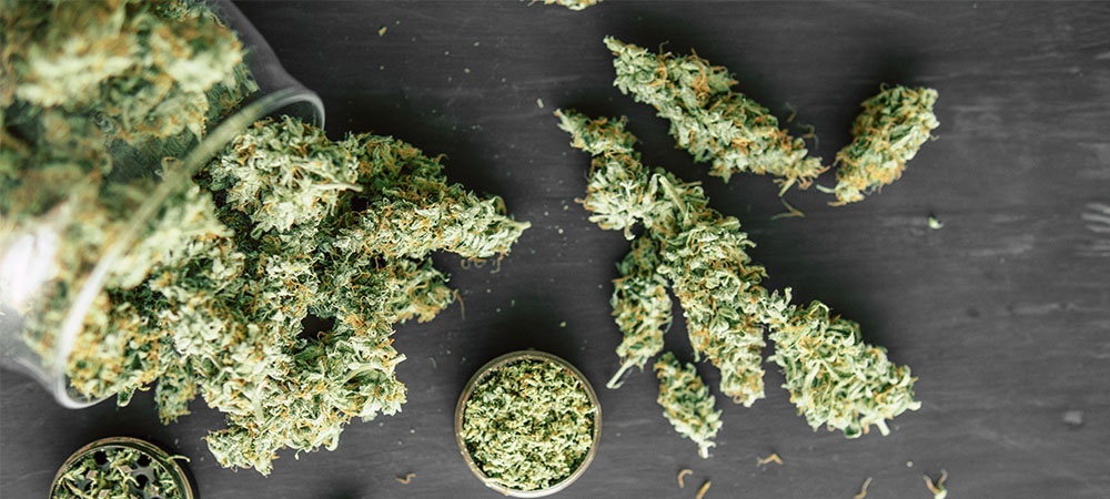 Weed buds spilled from a jar on the table