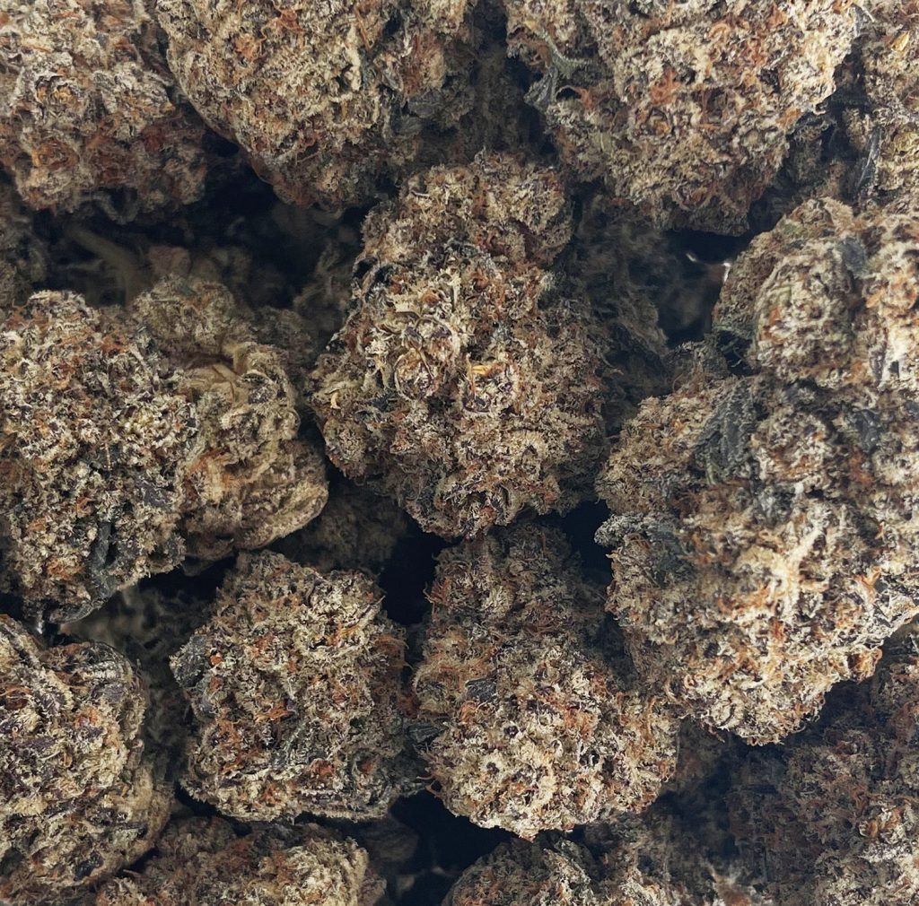 Black Truffle weed Strain buds