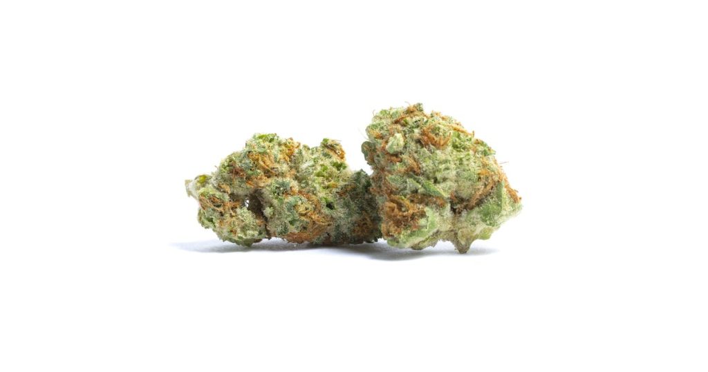 Ice Cream Cookies weed Strain buds