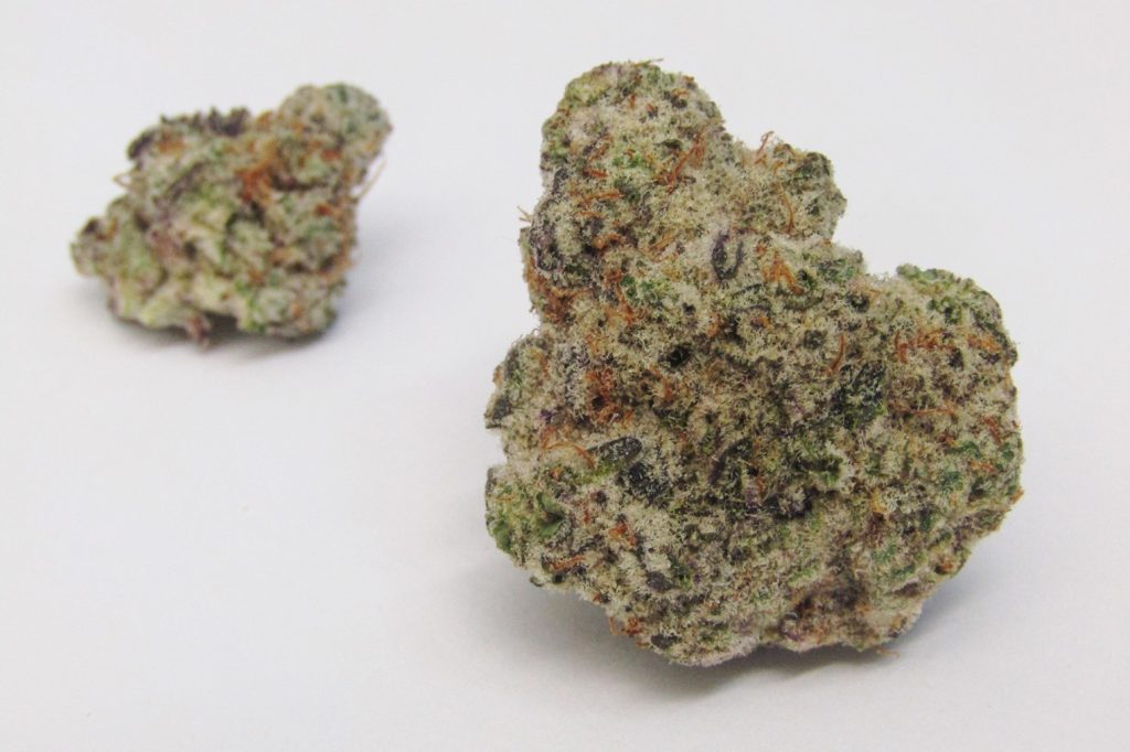 Mac 10 weed Strain buds