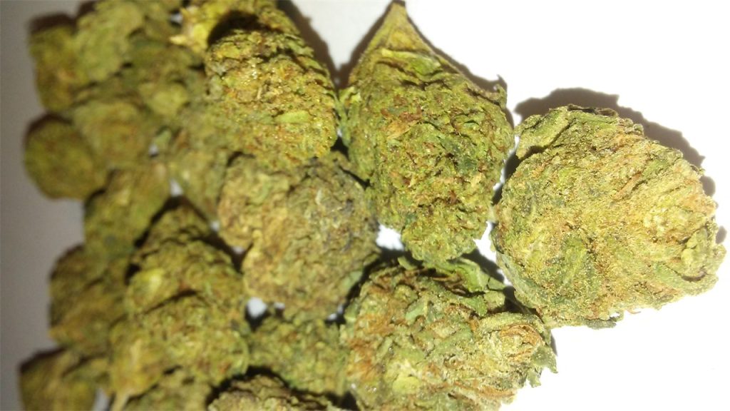 Sour Cookies weed Strain