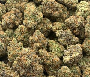 Wakanda Strain weed buds