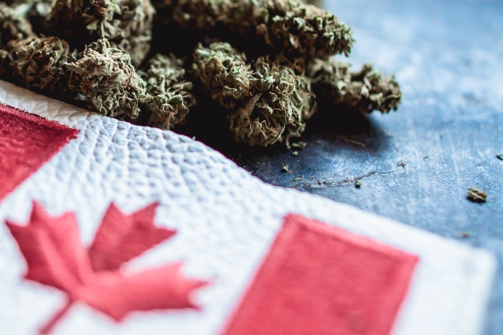 Cannabis buds next to a canadian flag