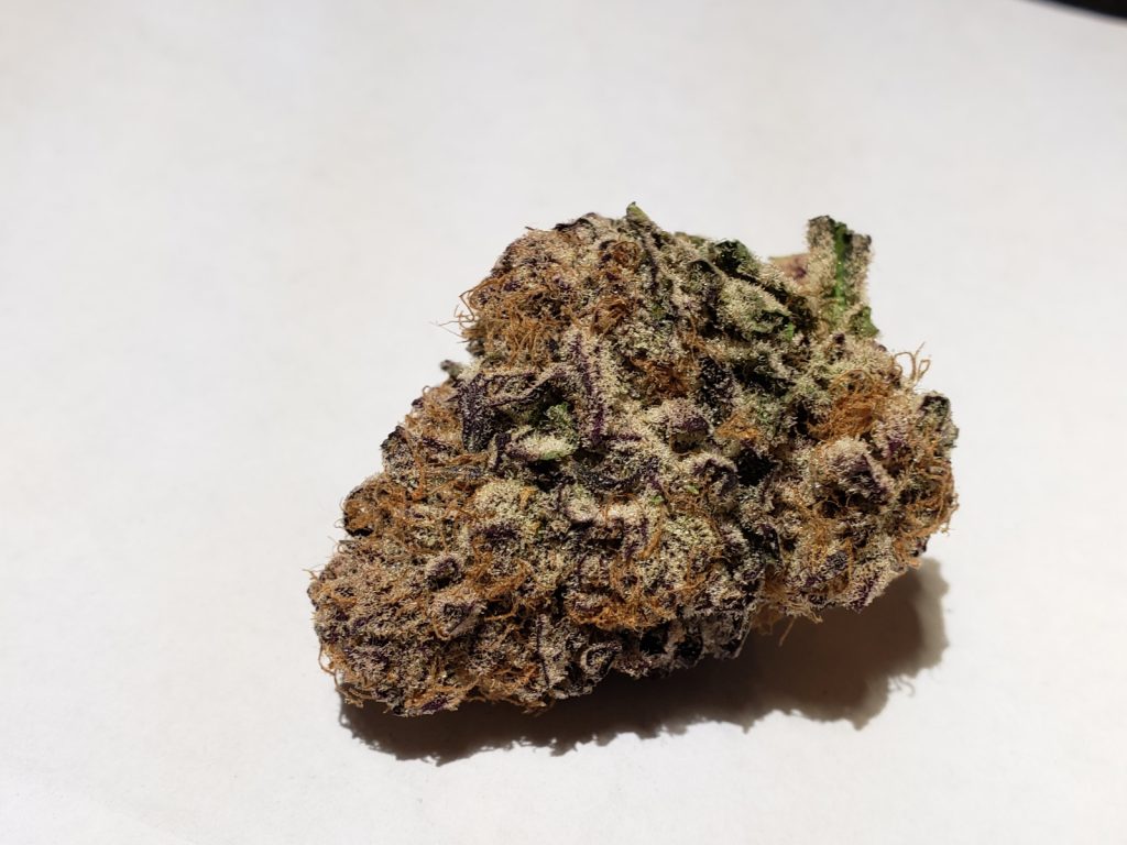 jelly donut strain bud on a table