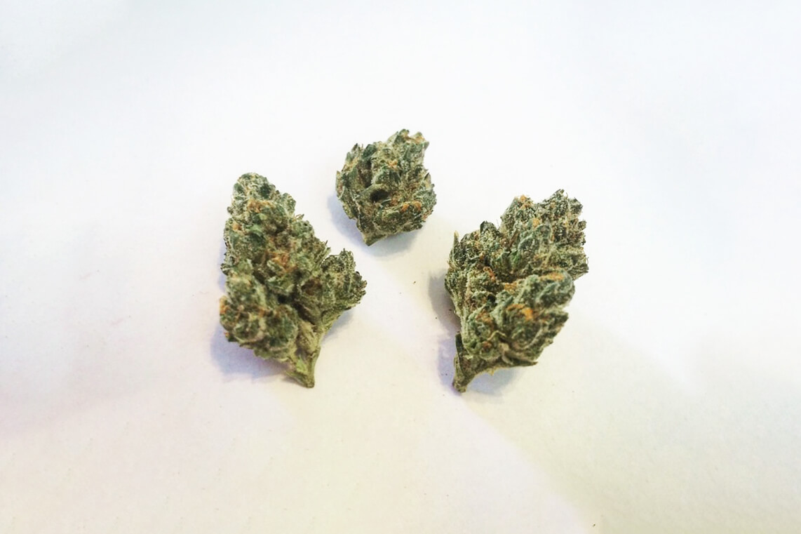 Top 10 Strains of 2023