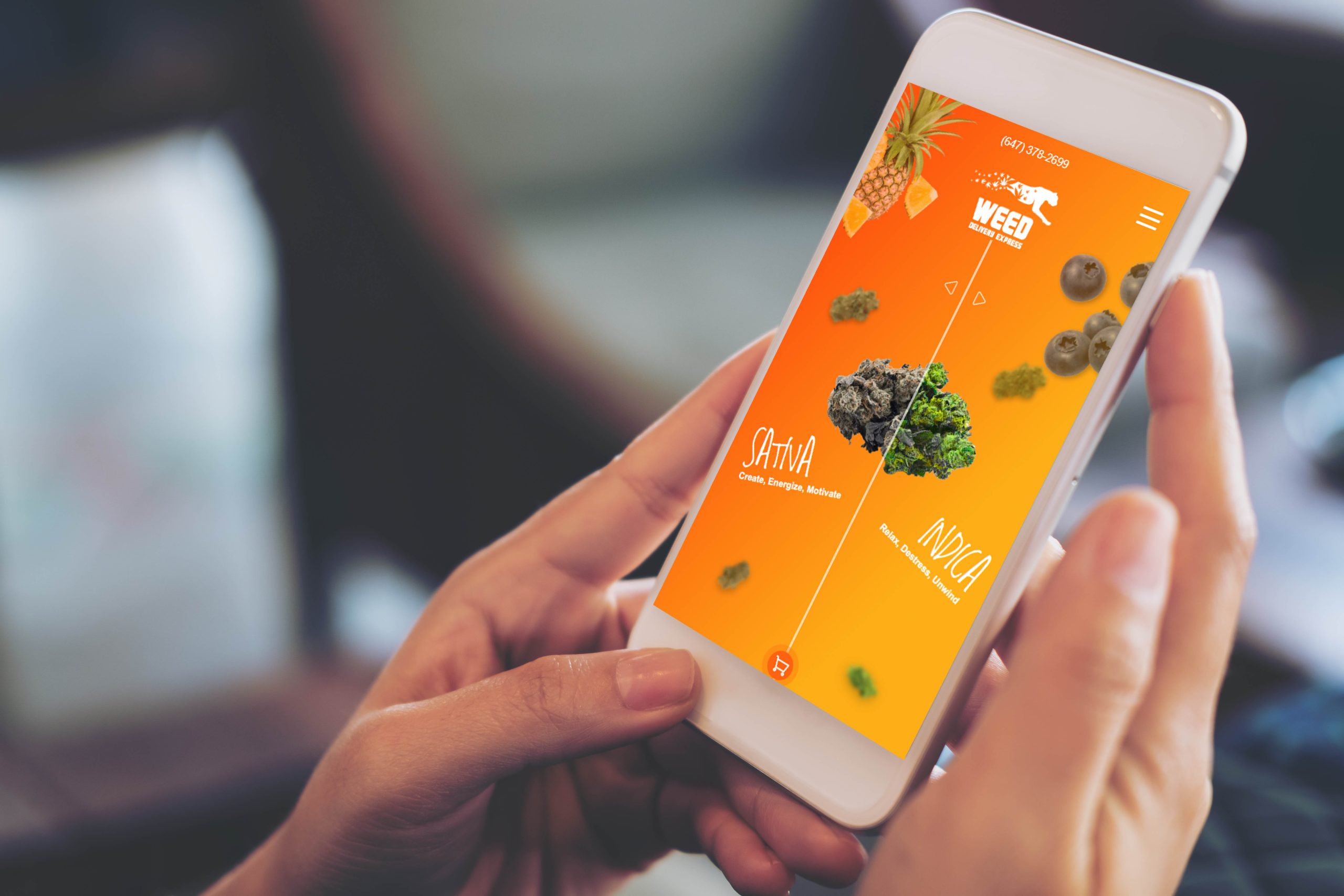 Weed Delivery Express Mobile Website