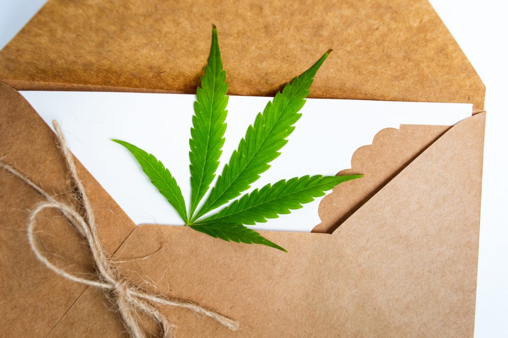 Cannabis Leaf in a carton envelope