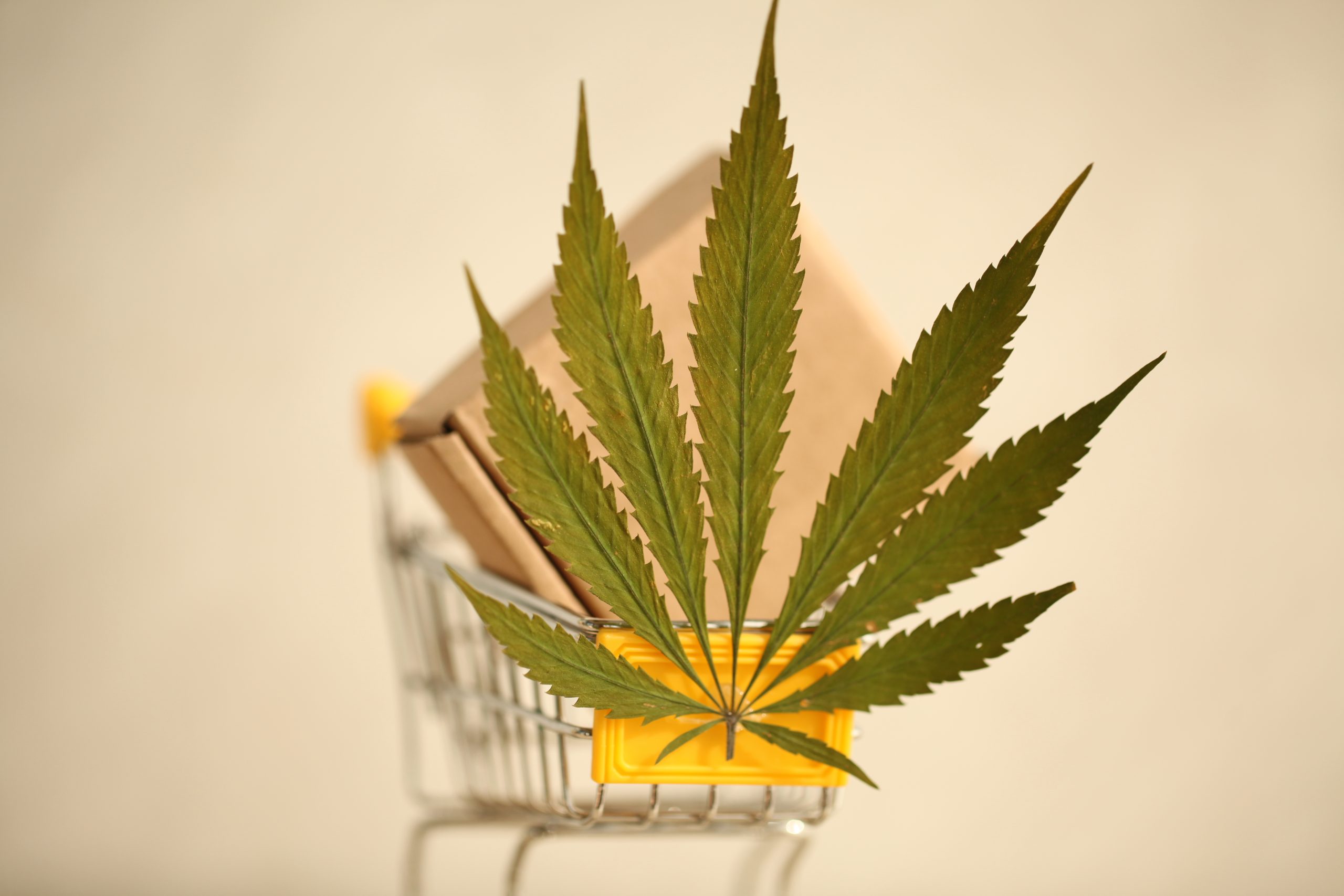 The Ultimate Guide to Mail Order Marijuana in Canada: How to Safely and Legally Purchase Cannabis Online with Weed Delivery Express