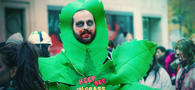 Weed Halloween Costume
