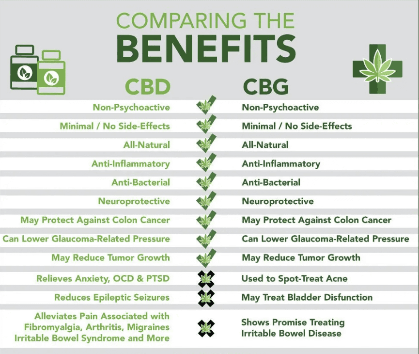 CBD vs CBG comparison