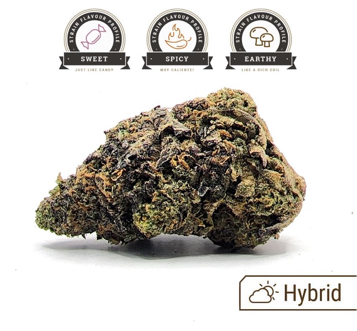 Biscotti Weed Strain