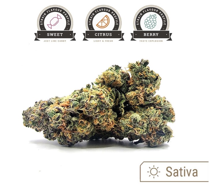 Unicorn Poop strain bud with flavour profile