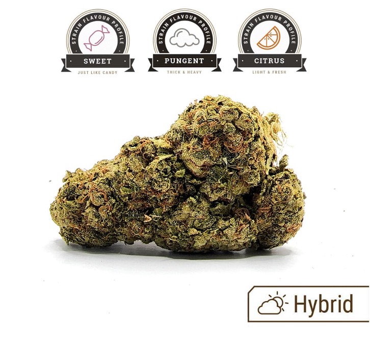 Bruce Banner weed strain