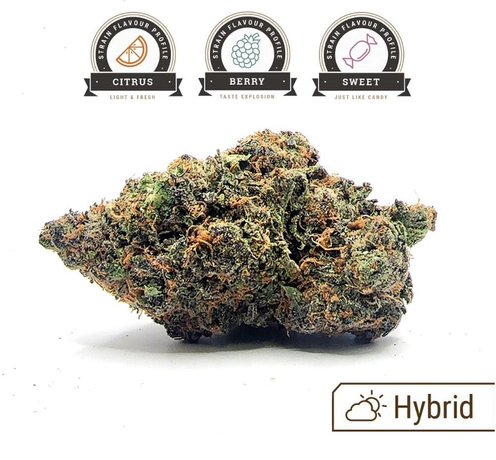 Runtz Weed Strain