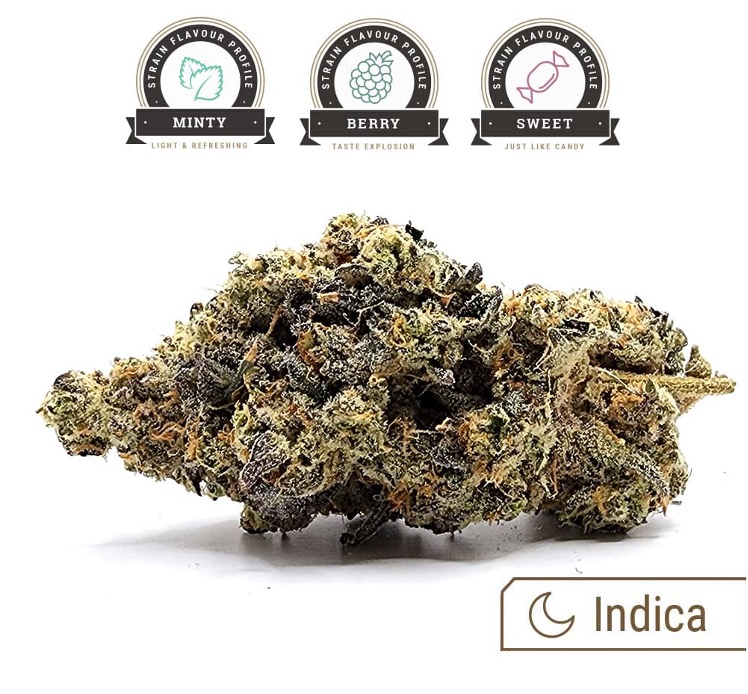 Cement Shoes strain bud with flavour profile