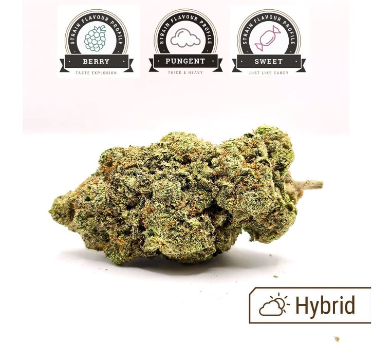 Georgia Pie Weed Strain