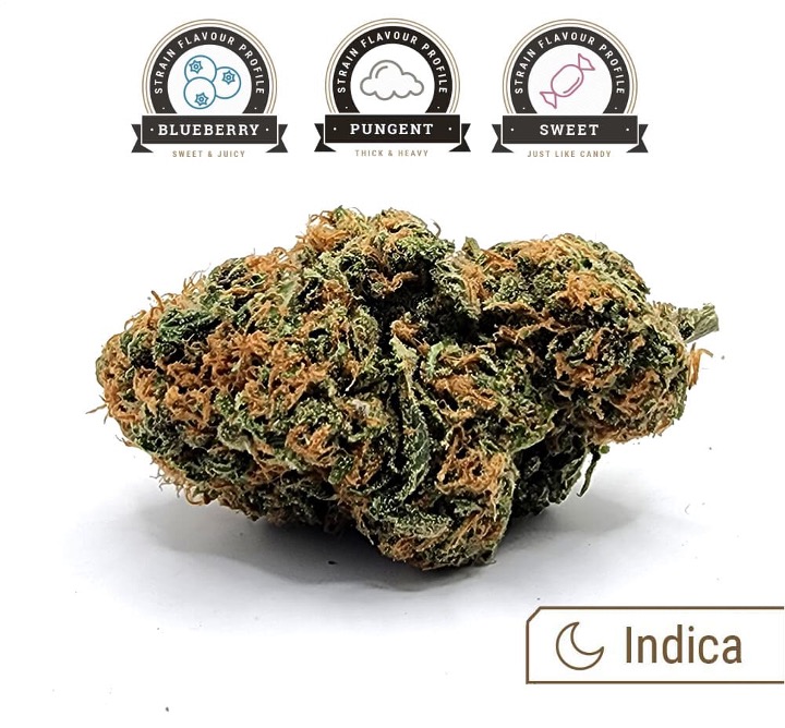 Blue Dream strain bud with flavour profile