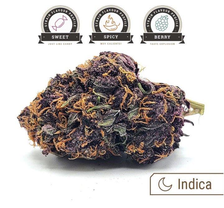 Huckleberry Soda weed strain