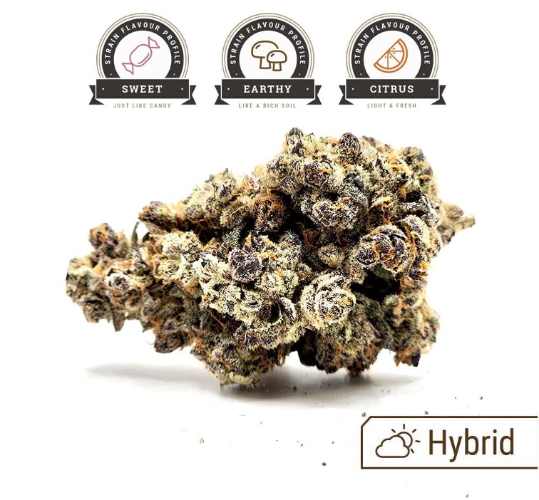 White Runtz Weed Strain
